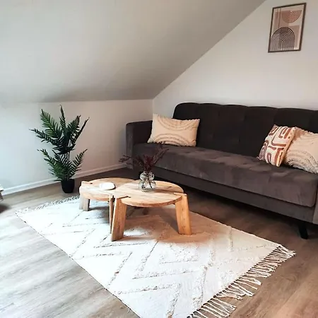 Stylische Altstadtwohnung - Netflix - Smart Tv - Schlafsofa Fuer 3 Personen Erfurt