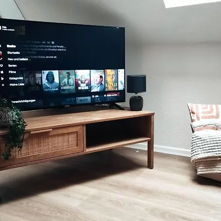 Stylische Altstadtwohnung - Netflix - Smart Tv - Schlafsofa Fuer 3 Personen * Erfurt