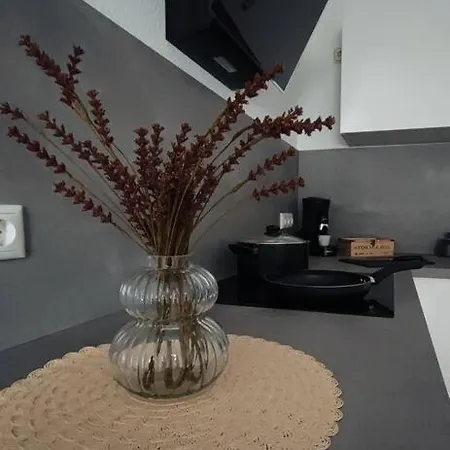 Stylische Altstadtwohnung - Netflix - Smart Tv - Schlafsofa Fuer 3 Personen Erfurt