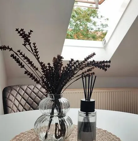 Stylische Altstadtwohnung - Netflix - Smart Tv - Schlafsofa Fuer 3 Personen Apartmán