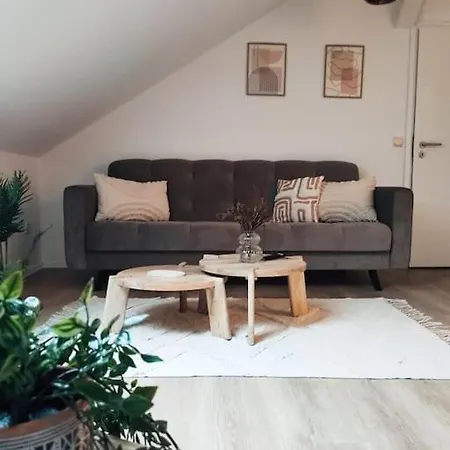 Stylische Altstadtwohnung - Netflix - Smart Tv - Schlafsofa Fuer 3 Personen 아파트 에르푸르트