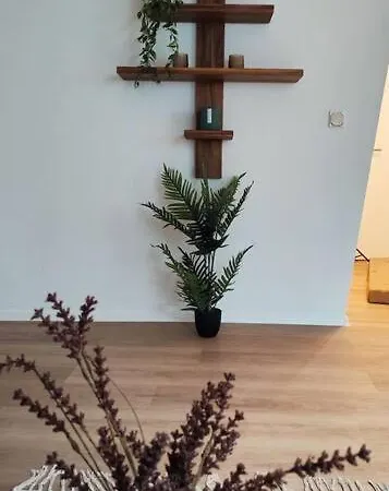 Stylische Altstadtwohnung - Netflix - Smart Tv - Schlafsofa Fuer 3 Personen Apartmán