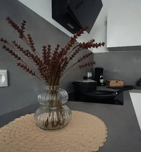 Stylische Altstadtwohnung - Netflix - Smart Tv - Schlafsofa Fuer 3 Personen Erfurt