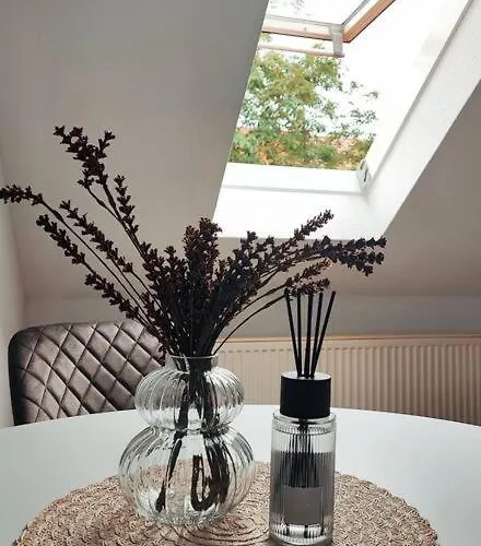 Stylische Altstadtwohnung - Netflix - Smart Tv - Schlafsofa Fuer 3 Personen Appartement