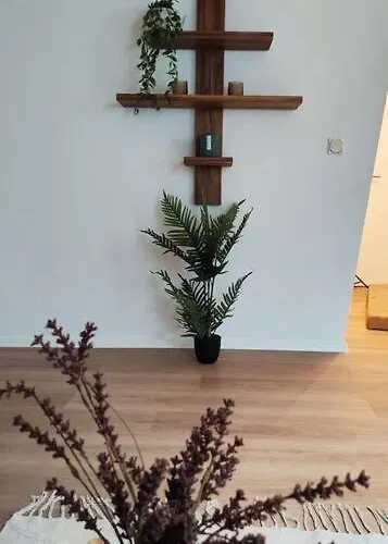 Stylische Altstadtwohnung - Netflix - Smart Tv - Schlafsofa Fuer 3 Personen Appartement